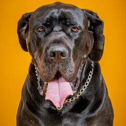 Shooting-1-135 Shooting-1-135